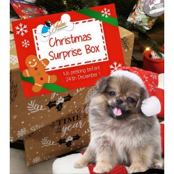 Honden kerstpakket -klein